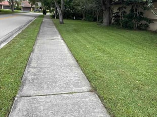 Ronald S.'s lawn care service result