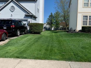 Joanne T.'s grass maintenance service result