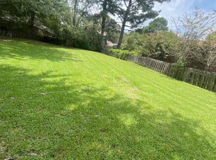 Monica N.'s lawn care service result