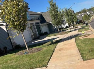 Michael E.'s lawn care services service result