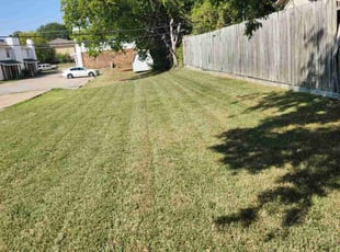 Andrew C.'s lawn care services service result