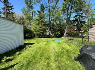 Patty B.'s Leaf Removal service result