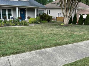 Carl F.'s lawn maintenance service result