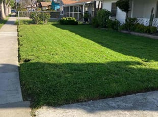 Katherine C.'s turf maintenance service result