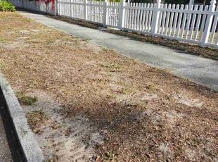 Richard H.'s Leaf Removal service result