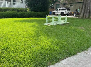 Lisa C.'s grass maintenance service result