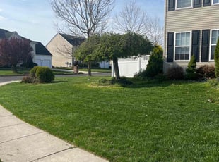 Charles C.'s turf care service result
