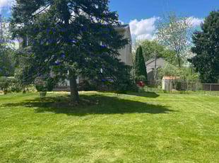 Melissa F.'s grass cutting service result
