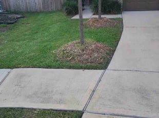 Jeremy S.'s lawn service service result