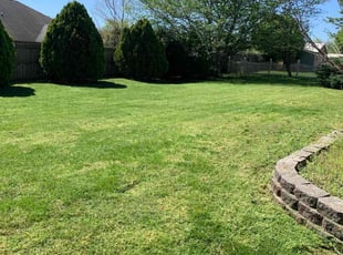 Susan M.'s grass cutting service result