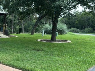 Bob M.'s grass maintenance service result