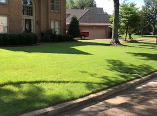 Kevin G.'s grass cutting service result