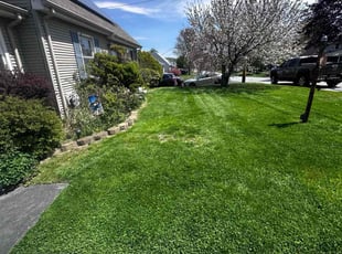Clyde M.'s grass cutting service result