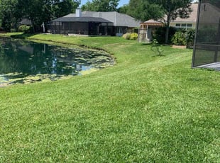 Gwendolyn M.'s turf maintenance service result