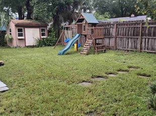 Joe R.'s grass maintenance service result