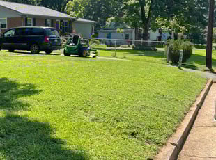 Abiel C.'s lawn maintenance service result