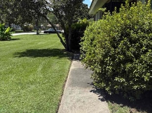 Jennifer B.'s turf care service result