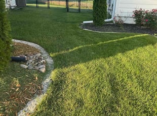 Ken W.'s yard service service result