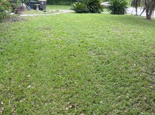 John T.'s grass maintenance service result