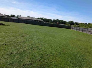 Andrew R.'s lawn maintenance service result