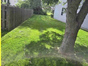 Barbara A.'s lawn care services service result