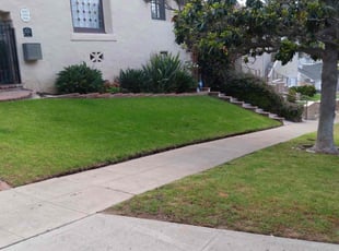 Stephanie R.'s grass cutting service result