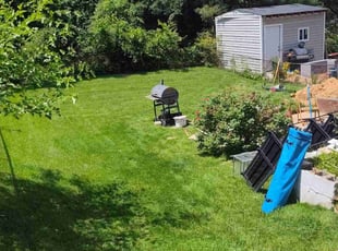 Michael K.'s lawn maintenance service result
