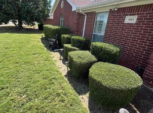 Pete B.'s Bush Trimming service result