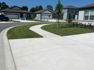 Carole P.'s turf maintenance service result