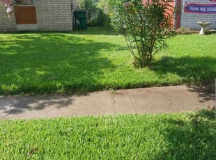 Aida R.'s grass cutting service result