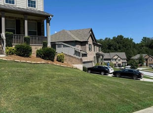 Randy A.'s grass maintenance service result