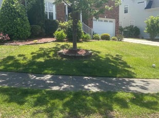 Naureen W.'s lawn maintenance service result
