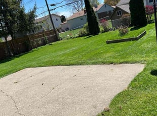 Josh S.'s grass maintenance service result