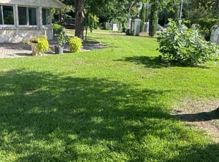 Dylan S.'s grass maintenance service result