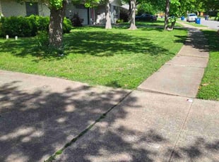 Kathryn H.'s turf care service result