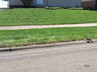 William J.'s turf maintenance service result
