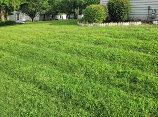 Jennifer H.'s turf care service result