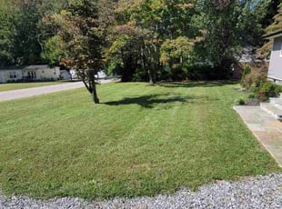 Linda M.'s lawn maintenance service result