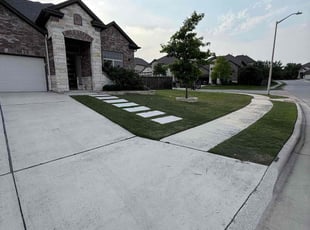 Terry W.'s yard maintenance service result