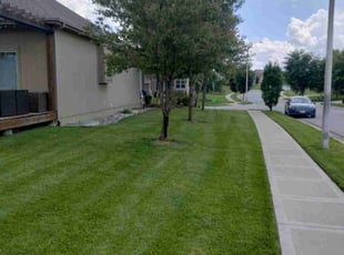 Allison D.'s lawn care services service result