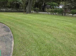 Kevin T.'s lawn maintenance service result