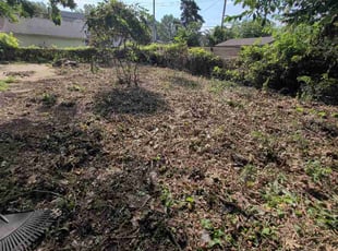 Alyson C.'s Cleanup service result