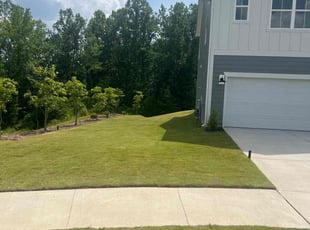 Sandra F.'s turf care service result