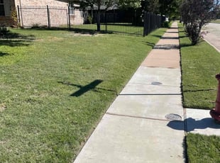 Chinedum A.'s lawn care services service result