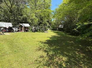 Ruth A.'s grass maintenance service result