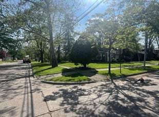 Patricia B.'s lawn care services service result