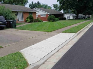 Lamelia L.'s lawn service service result