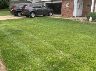 Gerber E.'s grass cutting service result