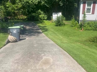 Doug S.'s turf maintenance service result