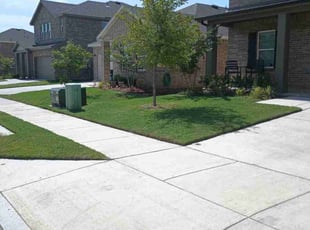 Debra P.'s grass cutting service result